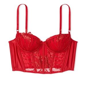 Victoria’s Secret Dream Angels shimmering bow embroidery corset top